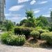 Herastrau_Aviatiei Park 2 camere